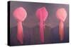 Turban Triptych-Lincoln Seligman-Stretched Canvas