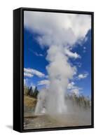 Turban, Vent and Grand Geysers Erupt, Upper Geyser Basin, Yellowstone National Park, Wyoming, Usa-Eleanor Scriven-Framed Stretched Canvas