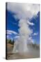 Turban, Vent and Grand Geysers Erupt, Upper Geyser Basin, Yellowstone National Park, Wyoming, Usa-Eleanor Scriven-Stretched Canvas