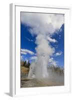 Turban, Vent and Grand Geysers Erupt, Upper Geyser Basin, Yellowstone National Park, Wyoming, Usa-Eleanor Scriven-Framed Photographic Print