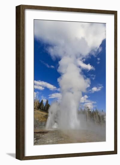 Turban, Vent and Grand Geysers Erupt, Upper Geyser Basin, Yellowstone National Park, Wyoming, Usa-Eleanor Scriven-Framed Photographic Print