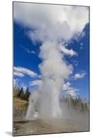 Turban, Vent and Grand Geysers Erupt, Upper Geyser Basin, Yellowstone National Park, Wyoming, Usa-Eleanor Scriven-Mounted Photographic Print