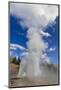 Turban, Vent and Grand Geysers Erupt, Upper Geyser Basin, Yellowstone National Park, Wyoming, Usa-Eleanor Scriven-Mounted Photographic Print