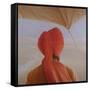 Turbaned Backview with Tenting-Lincoln Seligman-Framed Stretched Canvas