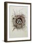 Turdus Merula (Blackbird), 1999-Sandra Lawrence-Framed Giclee Print