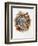 Turdus Viscivorus, 2000-Sandra Lawrence-Framed Giclee Print