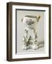 Tureen and Cooker with Floral Decorations, Ceramic-null-Framed Giclee Print