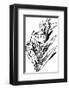 Tureenia Ladlecum-Edward Lear-Framed Premium Giclee Print
