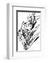 Tureenia Ladlecum-Edward Lear-Framed Premium Giclee Print