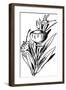 Tureenia Ladlecum-Edward Lear-Framed Premium Giclee Print