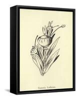Tureenia Ladlecum-Edward Lear-Framed Stretched Canvas
