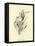 Tureenia Ladlecum-Edward Lear-Framed Stretched Canvas