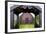 Turf Church Gr?f, Grafakirkja-Catharina Lux-Framed Photographic Print