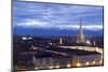 Turin, Piemonte, Italy. Cityscape from Monte Dei Cappuccini-Francesco Riccardo Iacomino-Mounted Photographic Print