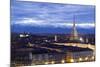 Turin, Piemonte, Italy. Cityscape from Monte Dei Cappuccini-Francesco Riccardo Iacomino-Mounted Photographic Print