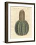 Turk'S-Cap Cactus-null-Framed Giclee Print