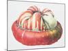 Turk's Turban Squash, 1995-Margaret Ann Eden-Mounted Giclee Print