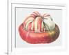 Turk's Turban Squash, 1995-Margaret Ann Eden-Framed Giclee Print