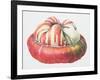 Turk's Turban Squash, 1995-Margaret Ann Eden-Framed Giclee Print