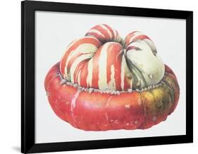 Turk's Turban Squash, 1995-Margaret Ann Eden-Framed Giclee Print