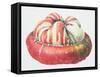 Turk's Turban Squash, 1995-Margaret Ann Eden-Framed Stretched Canvas