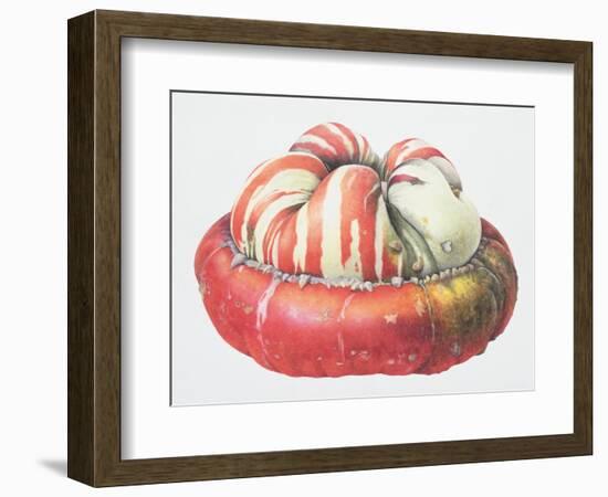 Turk's Turban Squash, 1995-Margaret Ann Eden-Framed Giclee Print