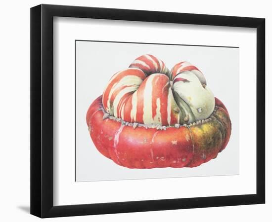 Turk's Turban Squash, 1995-Margaret Ann Eden-Framed Giclee Print