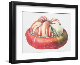 Turk's Turban Squash, 1995-Margaret Ann Eden-Framed Giclee Print