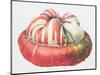 Turk's Turban Squash, 1995-Margaret Ann Eden-Mounted Giclee Print