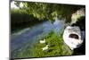 Turkey, Akyaka, Azmak River, Boat and Ducks-Samuel Magal-Mounted Photographic Print