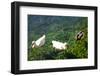 Turkey, Akyaka, Azmak River, Ducks-Samuel Magal-Framed Photographic Print