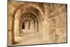 Turkey, Anatolia, Aspendos, 2nd Century Roman theatre. Archways.-Emily Wilson-Mounted Photographic Print