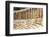 Turkey, Anatolia, Aspendos, 2nd Century Roman theatre.-Emily Wilson-Framed Photographic Print