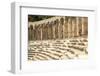 Turkey, Anatolia, Aspendos, 2nd Century Roman theatre.-Emily Wilson-Framed Photographic Print