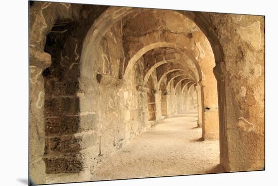Turkey, Anatolia, Aspendos, Roman theatre Archways.-Emily Wilson-Mounted Premium Photographic Print
