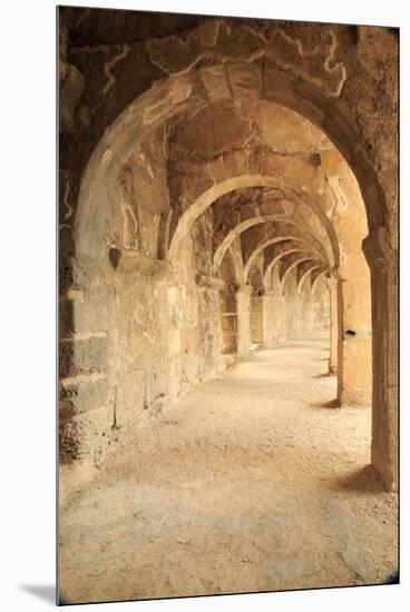 Turkey, Anatolia, Aspendos, Roman theatre Archways.-Emily Wilson-Mounted Premium Photographic Print