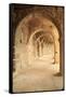 Turkey, Anatolia, Aspendos, Roman theatre Archways.-Emily Wilson-Framed Stretched Canvas