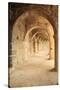 Turkey, Anatolia, Aspendos, Roman theatre Archways.-Emily Wilson-Stretched Canvas