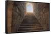 Turkey, Anatolia, Aydin Province, Theater ruins of Miletus.-Emily Wilson-Framed Stretched Canvas