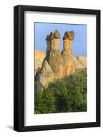 Turkey, Anatolia, Cappadocia, Goreme. 'Fairy Chimneys' in Red Valley.-Emily Wilson-Framed Photographic Print