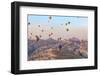 Turkey, Anatolia, Cappadocia, Goreme. Hot air balloons above Red Valley.-Emily Wilson-Framed Photographic Print