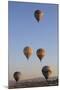Turkey, Anatolia, Cappadocia, Goreme. Hot air balloons above Red Valley.-Emily Wilson-Mounted Premium Photographic Print
