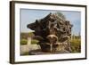 Turkey, Aphrodisias, Agora South,  Portico of Tiberius, Corinthian Capital Remains-Samuel Magal-Framed Photographic Print