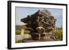 Turkey, Aphrodisias, Agora South,  Portico of Tiberius, Corinthian Capital Remains-Samuel Magal-Framed Photographic Print