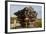 Turkey, Aphrodisias, Agora South,  Portico of Tiberius, Corinthian Capital Remains-Samuel Magal-Framed Photographic Print