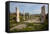 Turkey, Aphrodisias, Imperial Hall-Samuel Magal-Framed Stretched Canvas