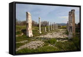 Turkey, Aphrodisias, Imperial Hall-Samuel Magal-Framed Stretched Canvas