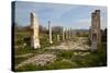 Turkey, Aphrodisias, Imperial Hall-Samuel Magal-Stretched Canvas