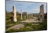 Turkey, Aphrodisias, Imperial Hall-Samuel Magal-Mounted Photographic Print