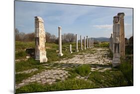 Turkey, Aphrodisias, Imperial Hall-Samuel Magal-Mounted Photographic Print